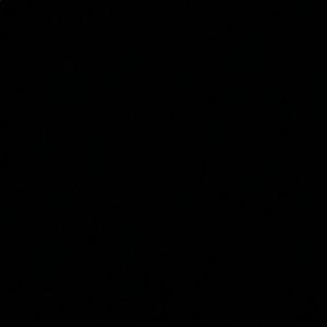 Meet your Posher, Evelyn